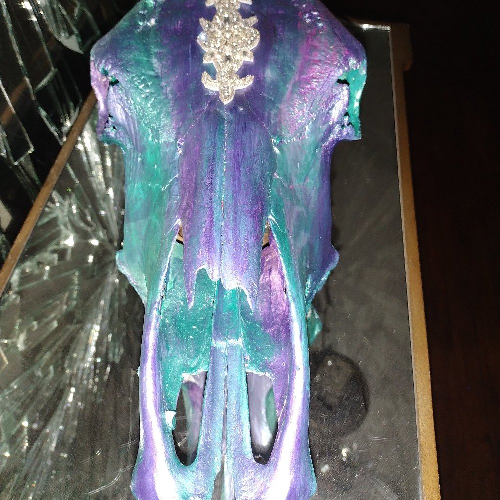 Decorative cow skull